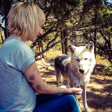 fall-trip-11 fall-trip-11